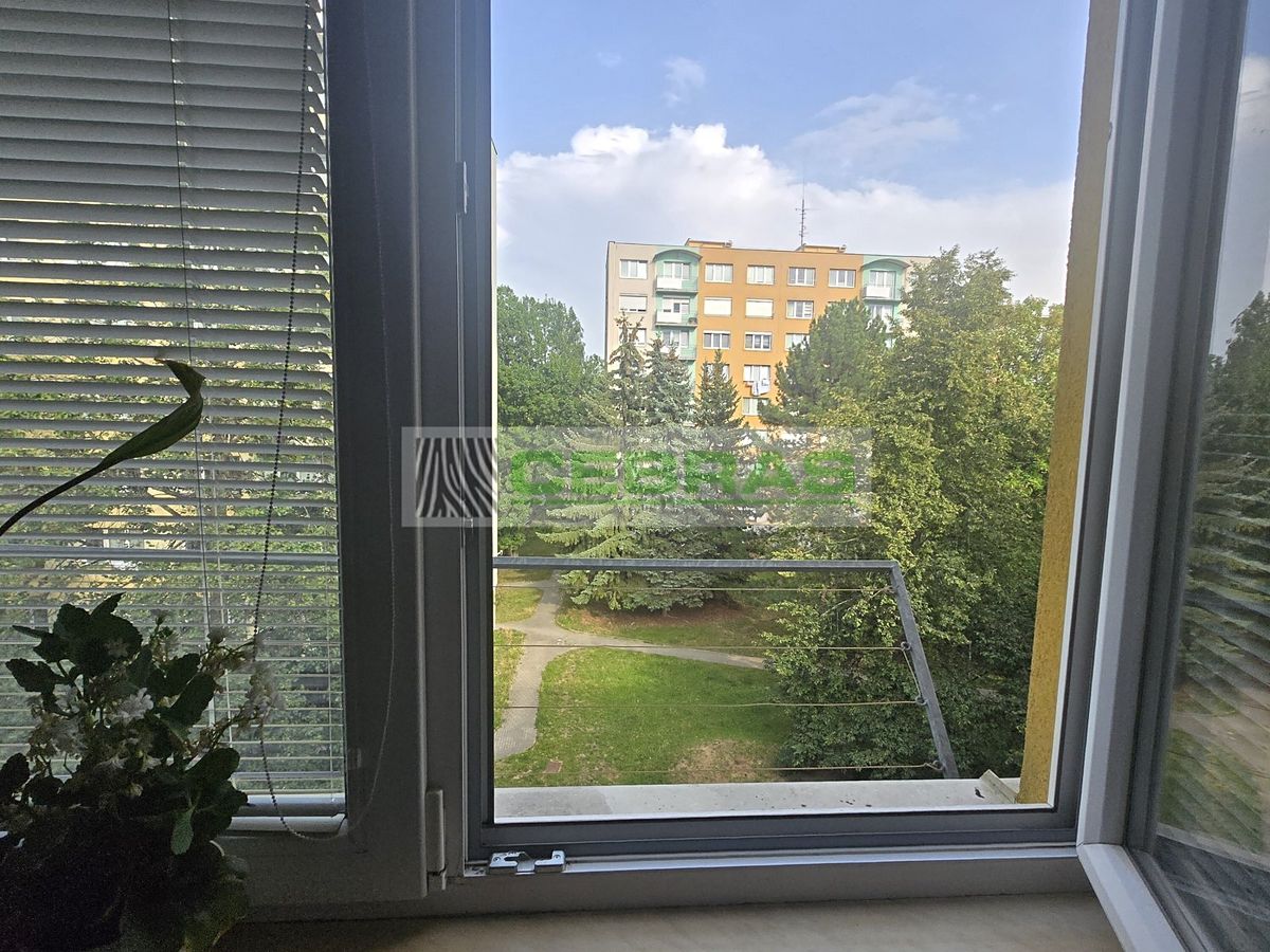 Pronájem bytu 1+1 36 m² – fotografie 5