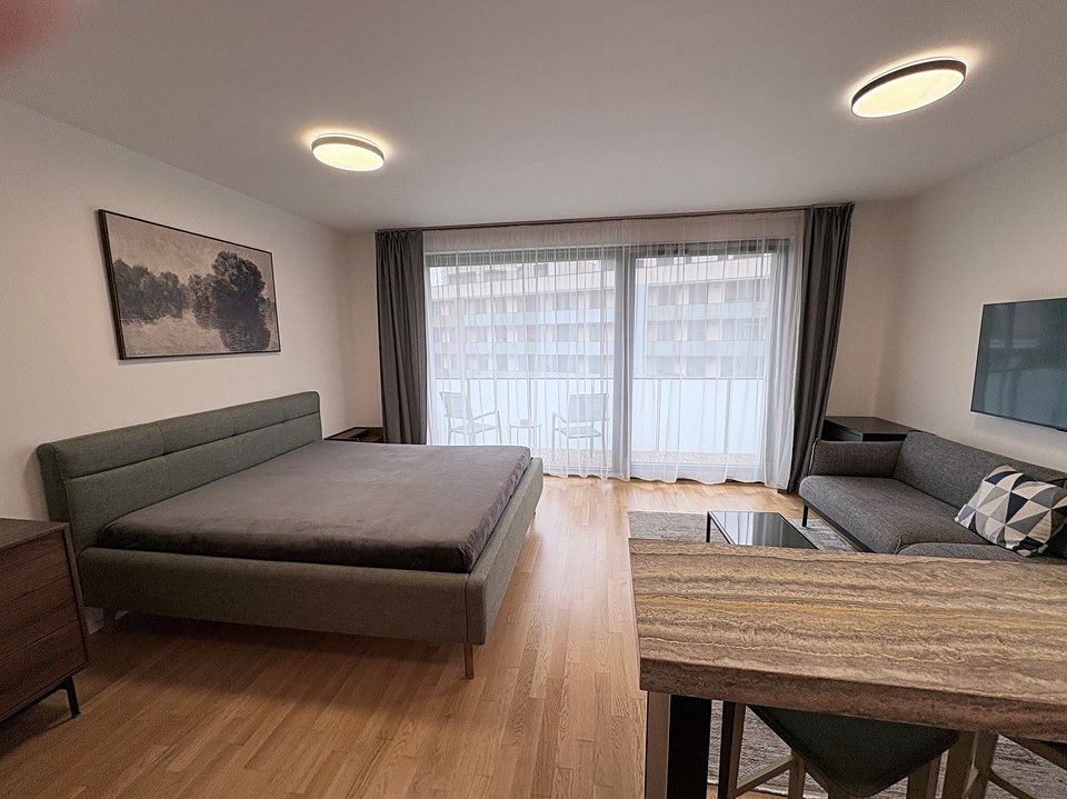 Pronájem bytu 1+kk 45 m² – fotografie 3
