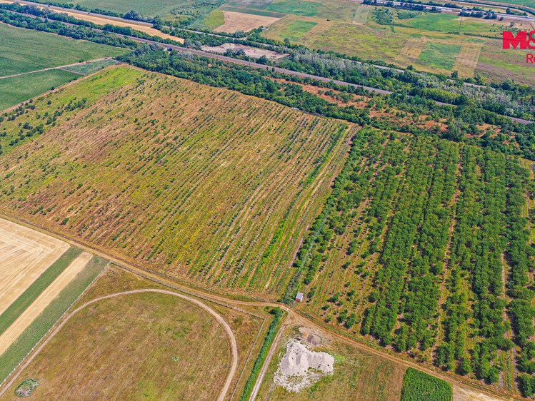 Ділянка на продаж, 12 442 м² (5 з 15)
