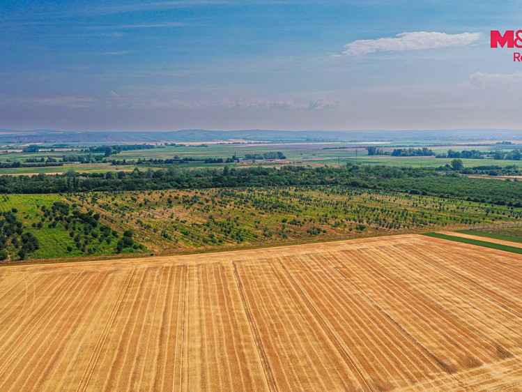 Ділянка на продаж, 123 477 м² (10 з 11)