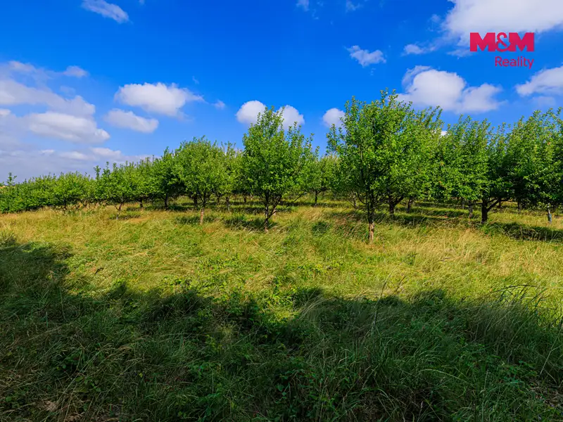 Prodej pole 9766 m², Polom – náhled fotky 3
