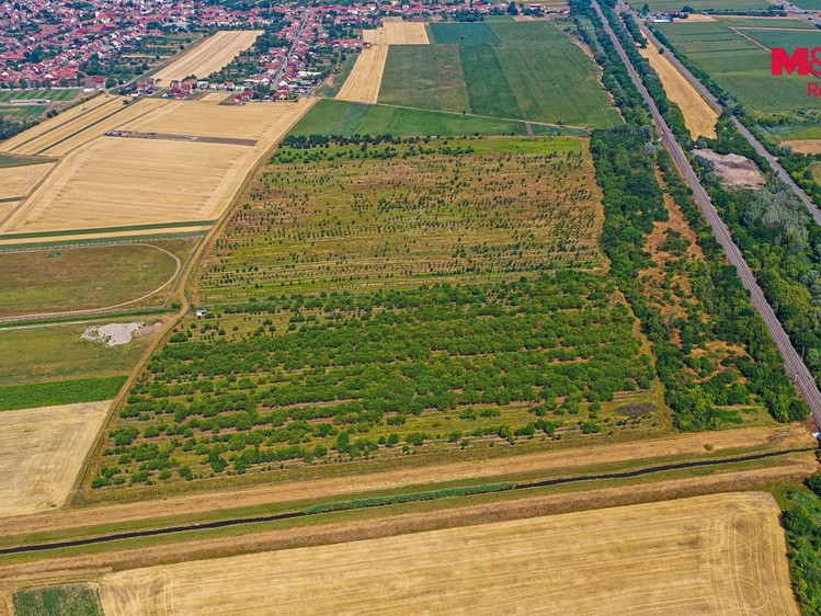 Ділянка на продаж, 12 442 м² (7 з 15)