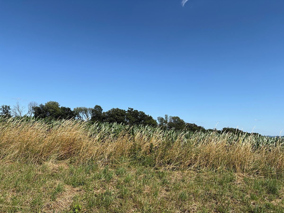 Prodej pole 11991 m²