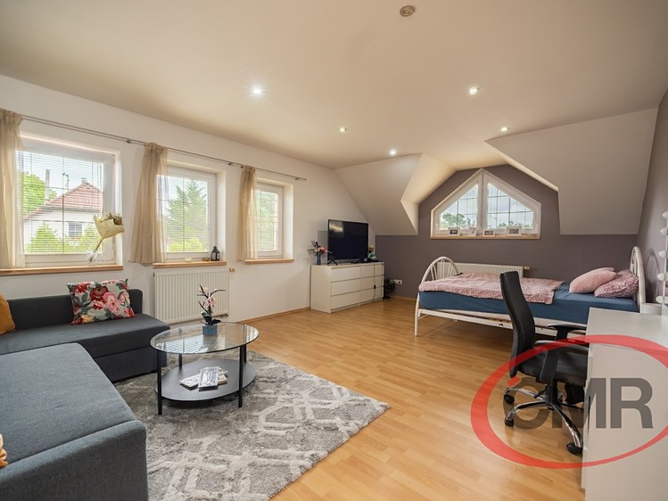 Prodej domu, 350 m² (14 z 36)