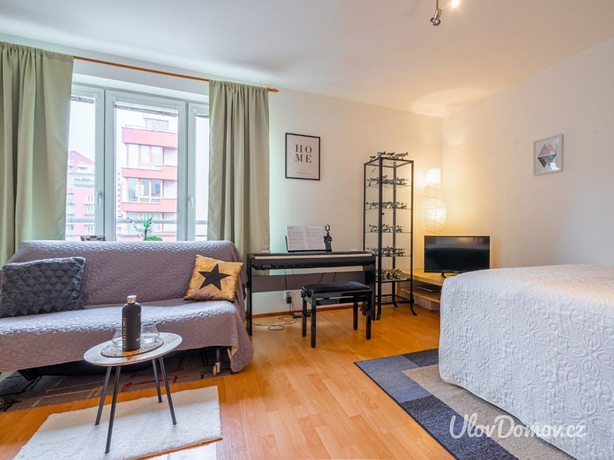Pronájem bytu 1+kk 33 m² – fotografie 2