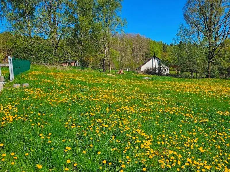 Dražba stavebního pozemku 4505 m², Omlenice – náhled fotky 2