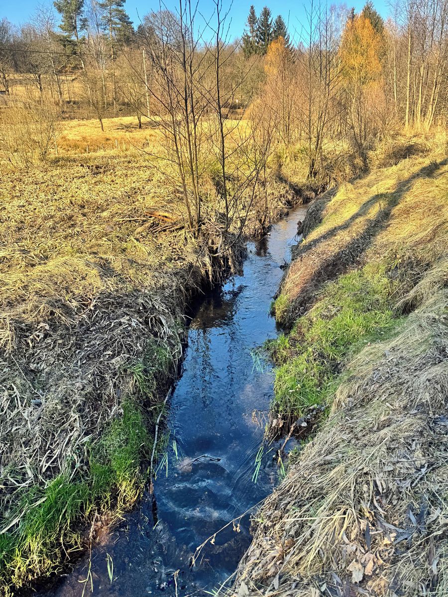 Prodej chalupy 200 m², pozemek 730 m² – fotografie 3