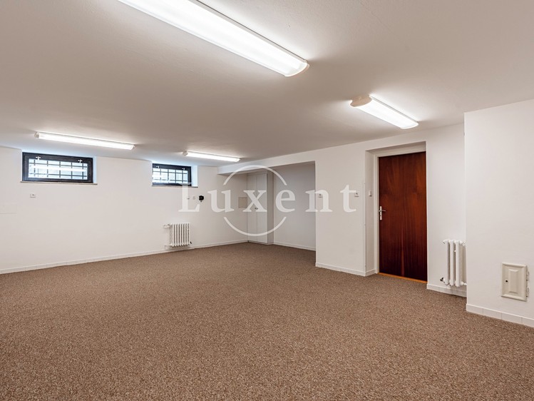 Pronájem domu, 417 m² (27 z 38)