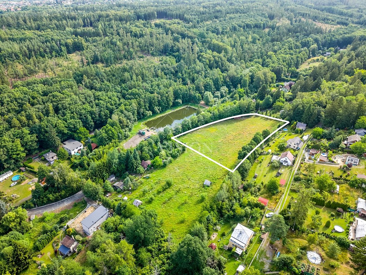 Prodej louky 6627 m² – fotografie 4