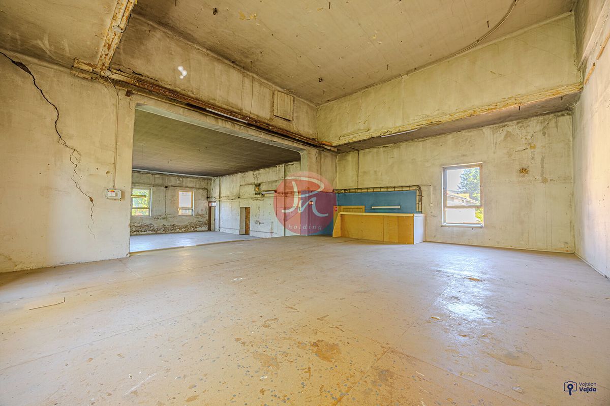 Prodej obchodního prostoru 500 m² – fotografie 3