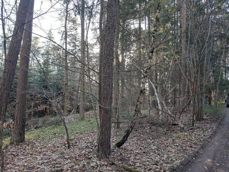 Prodej pozemku 3017 m² – fotografie 2