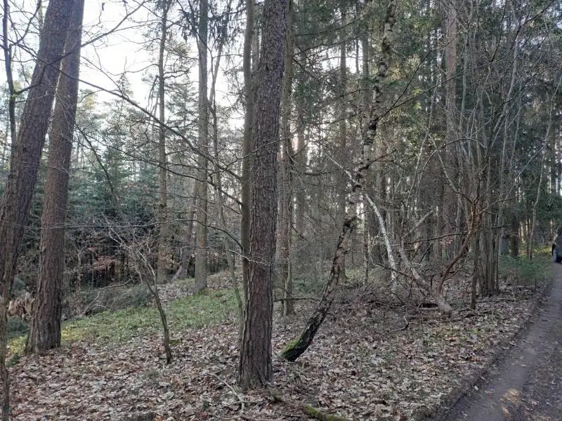 Prodej pozemku 3017 m², Probulov – náhled fotky 2