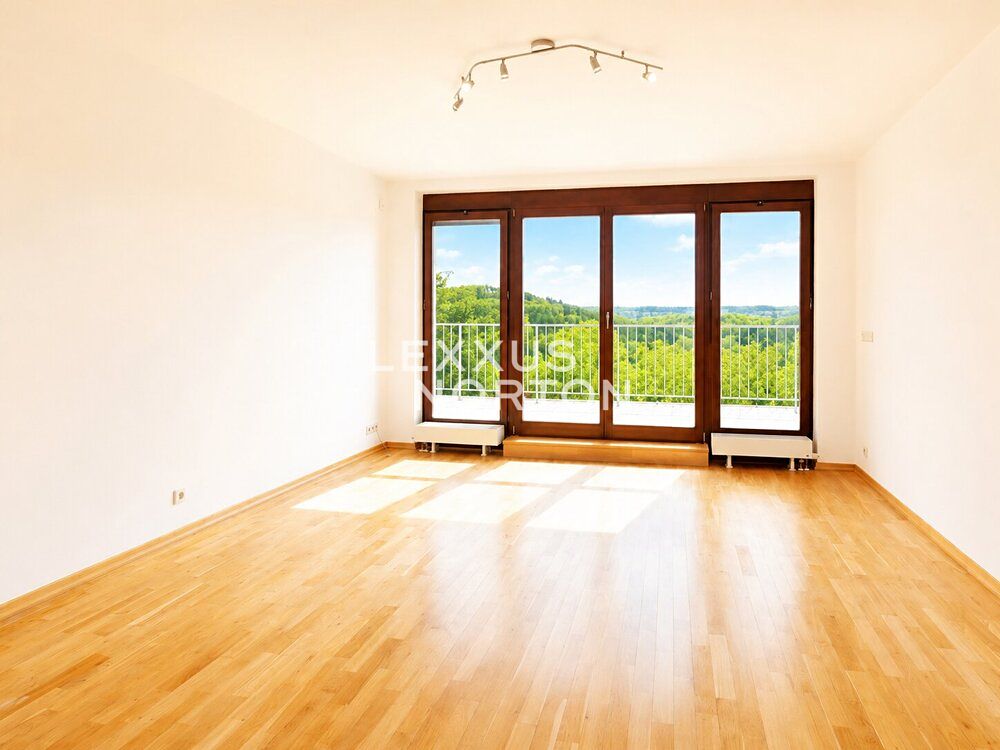 Pronájem rodinného domu 373 m², pozemek 857 m² – fotografie 3