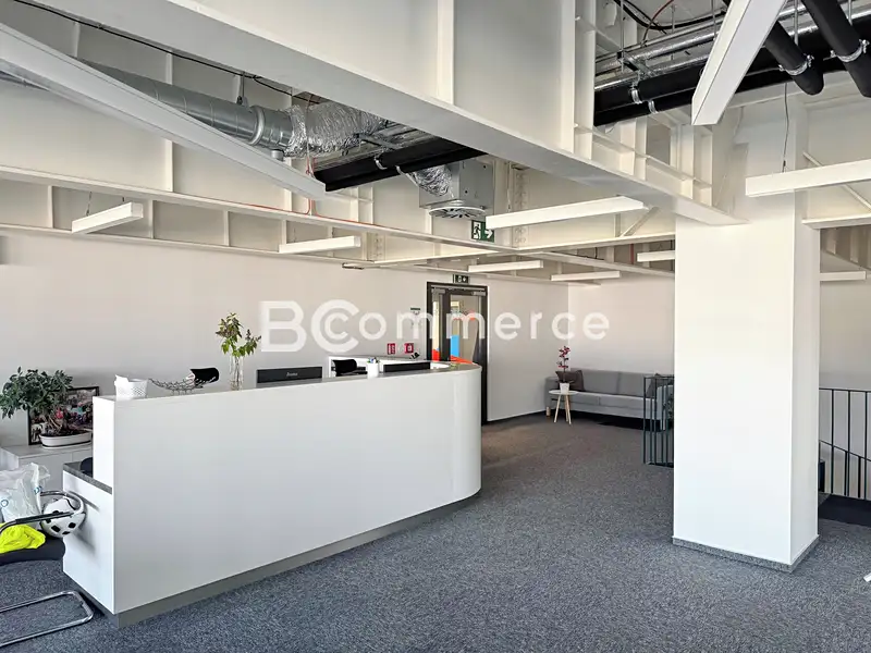 Pronájem kanceláře 570 m², Brno – náhled fotky 3