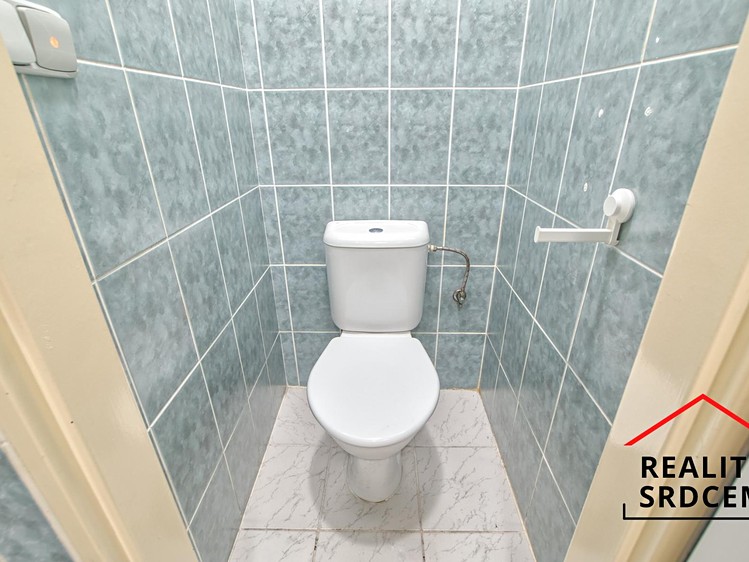 Комерційне приміщення в оренду, 167 м² (25 з 29)