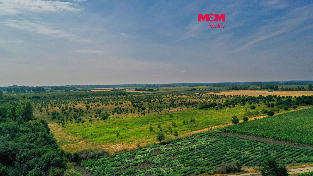 Prodej pole 123477 m², Rakvice – fotka 1 z 3
