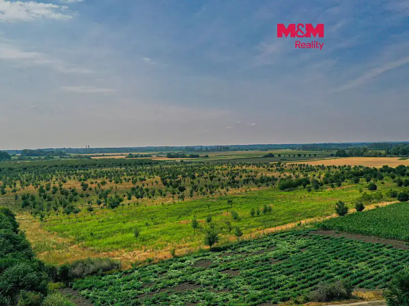 Prodej pole 123477 m², Rakvice – náhled fotky 1