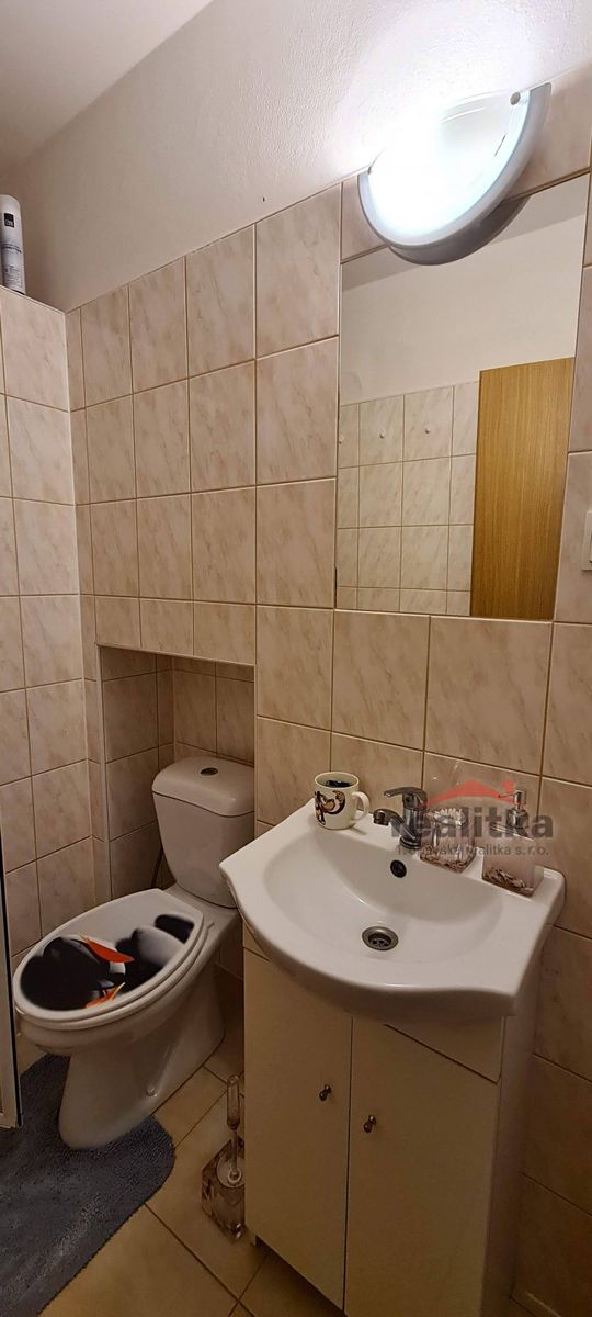 Pronájem bytu 1+kk 30 m² – fotografie 3