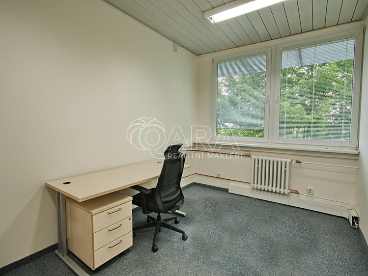 Pronájem komerčního prostoru, 650 m² (7 z 12)