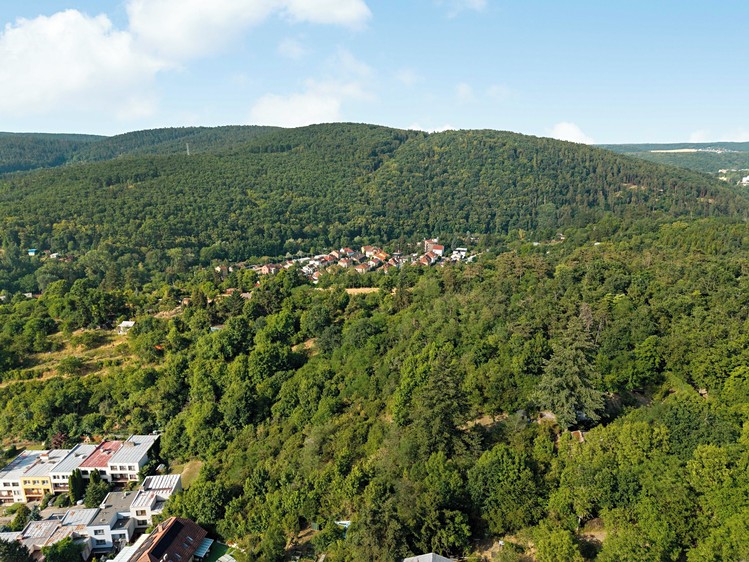 Prodej pozemku, 2 516 m² (6 z 15)