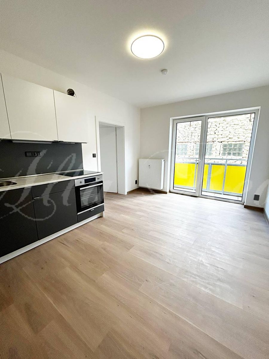 Pronájem bytu 2+kk 55 m² – fotografie 3