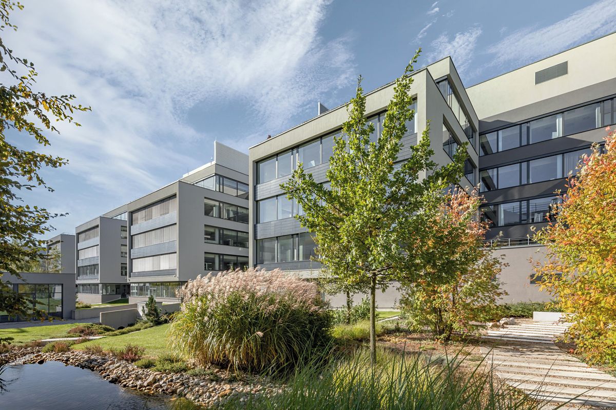 Pronájem kanceláře 500 m² – fotografie 2