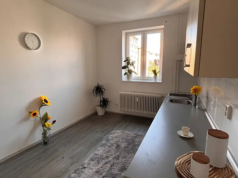 Pronájem bytu 1+1 47 m², Ostrava – náhled fotky 1