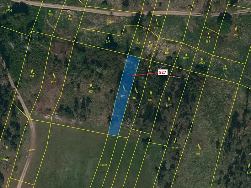 Dražba lesa 613 m², Vladislav – náhled fotky 2
