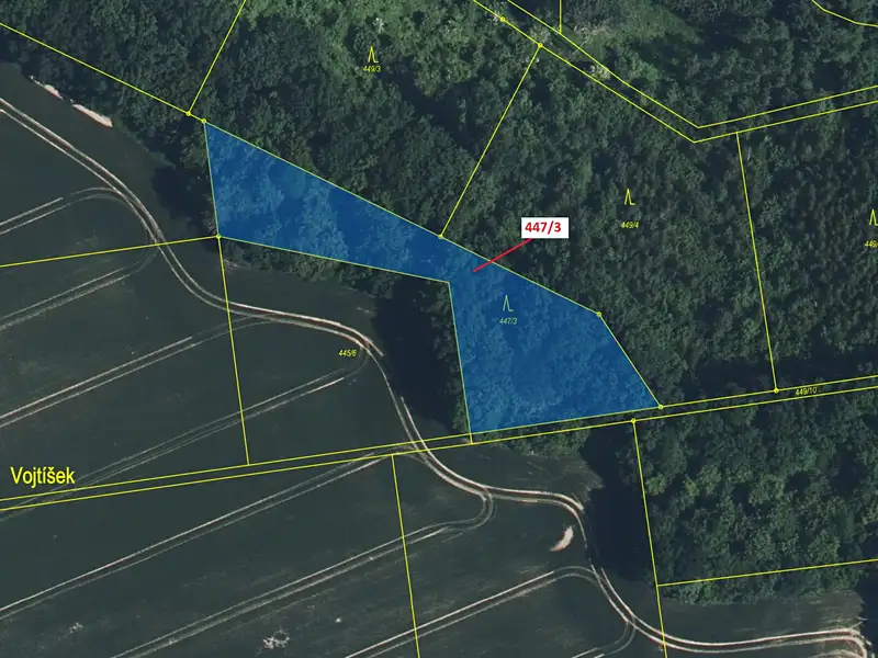 Dražba lesa 2986 m², Horní Bukovina – náhled fotky 2