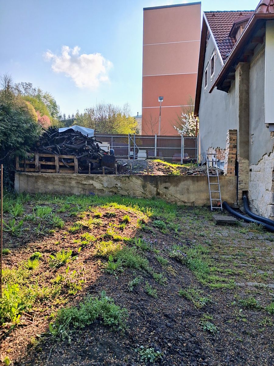 Prodej rodinného domu 147 m², pozemek 342 m² – fotografie 4