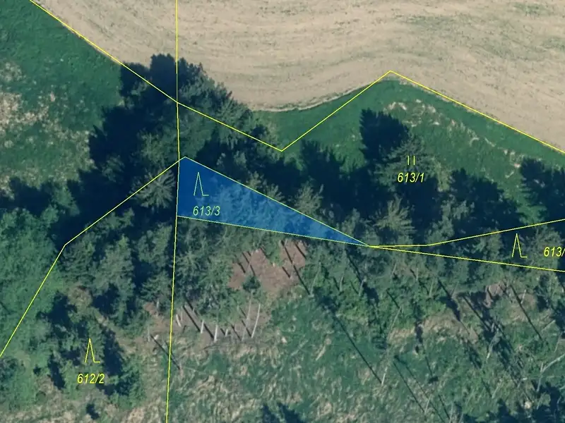 Dražba lesa 180 m², Záboří – náhled fotky 2