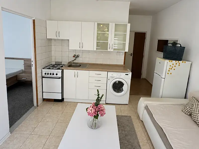 Prodej bytu 2+kk 36 m², Plzeň – náhled fotky 2