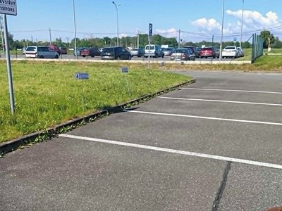 Pronájem komerčního prostoru, 227 m² (3 z 8)