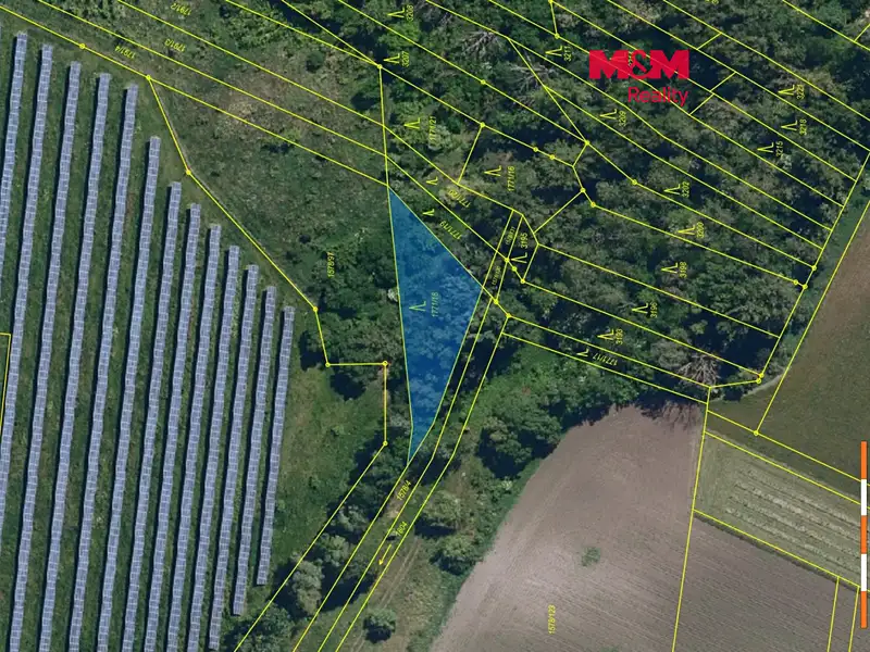 Prodej lesa 815 m², Šakvice – náhled fotky 1