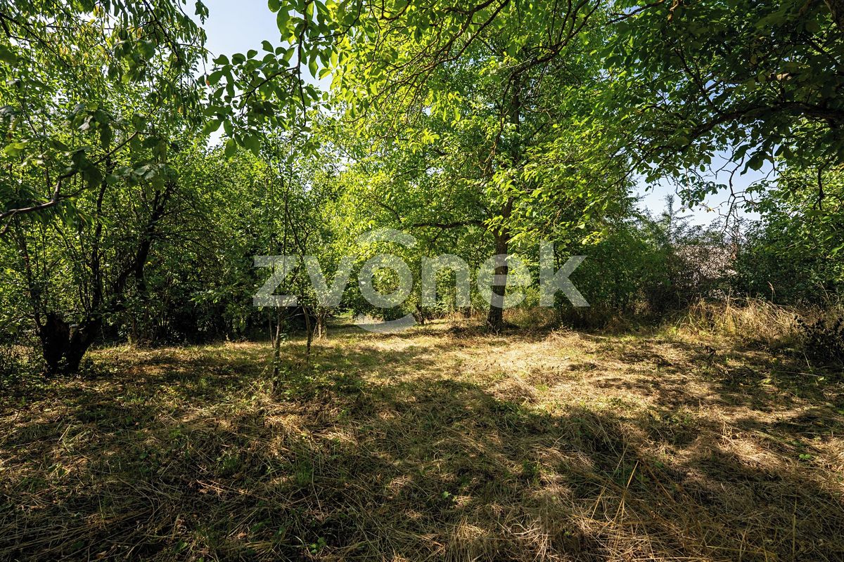 Prodej zahrady 983 m² – fotografie 5
