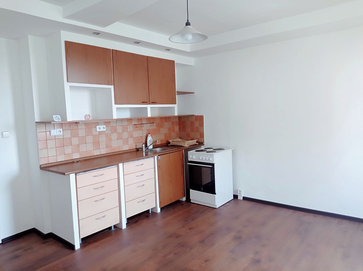 Pronájem bytu 1+kk 30 m² – fotografie 4