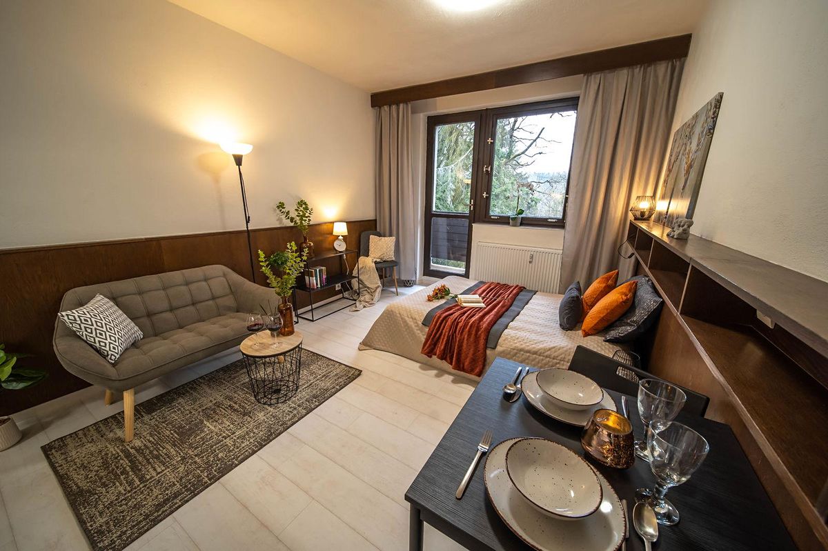 Pronájem bytu 1+kk 25 m² – fotografie 5