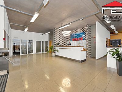 Pronájem kanceláře 2481 m²