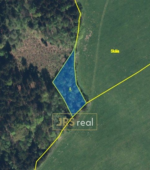 Prodej lesa 1985 m²