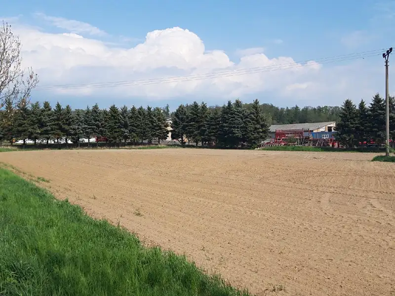 Prodej komerčního pozemku 3083 m², Police – náhled fotky 2