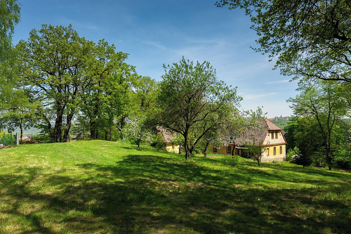 Prodej památky 240 m², pozemek 10069 m² – fotografie 5