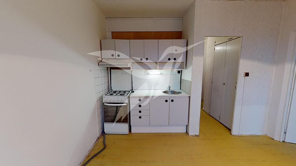 Pronájem bytu 1+1 42 m²