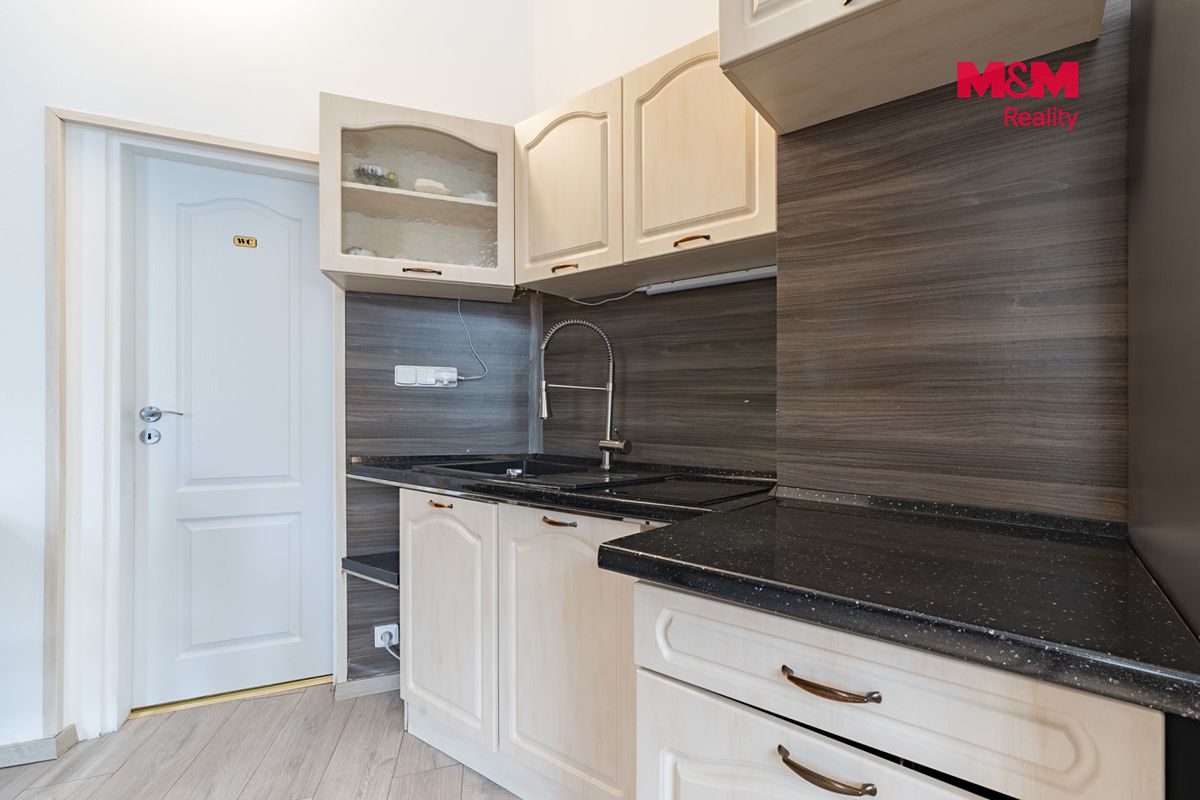 Prodej bytu 5+1 340 m² – fotografie 2