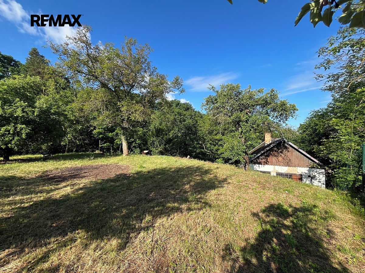 Prodej chaty 26 m², pozemek 2023 m² – fotografie 3