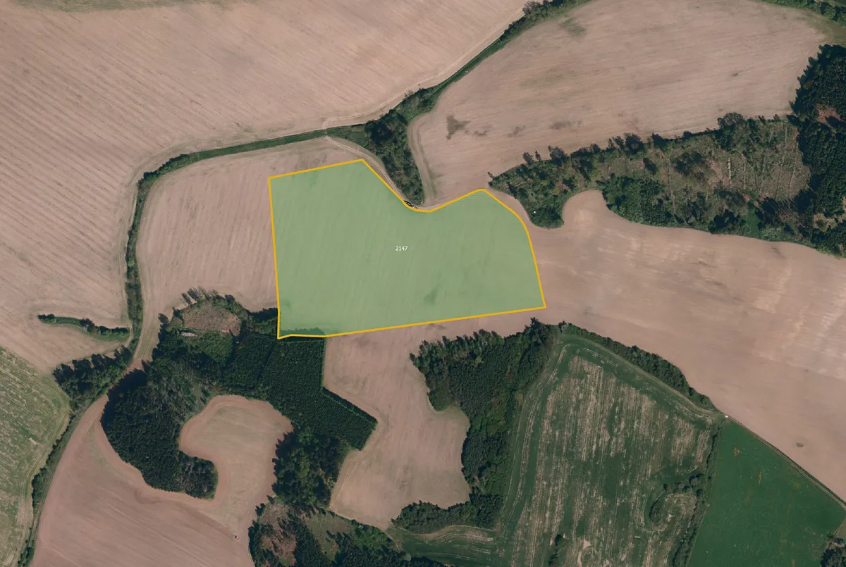 Prodej pole 54364 m²
