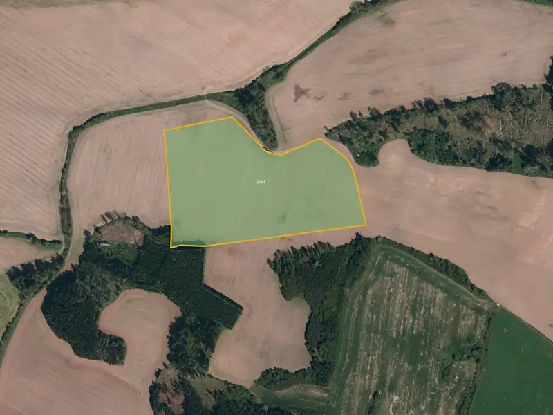 Prodej pole 54364 m², Pavlínov – náhled fotky 1