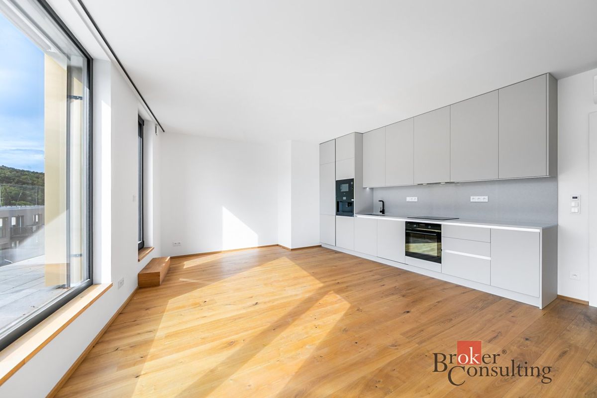 Pronájem bytu 3+kk 67 m²