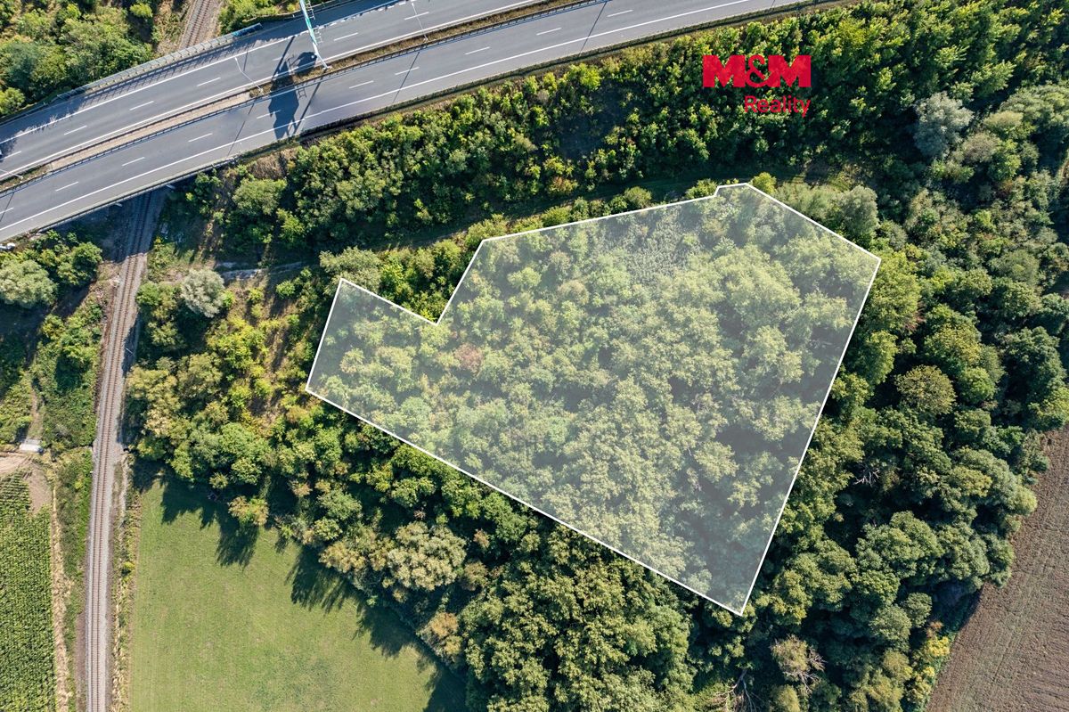 Prodej lesa 8894 m²