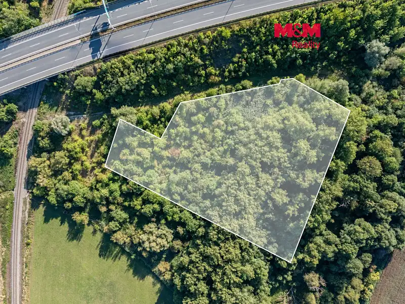 Prodej lesa 8894 m², Praha – náhled fotky 1
