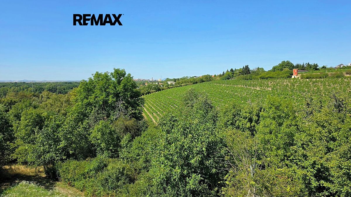 Prodej rodinného domu 151 m², pozemek 435 m² – fotografie 4